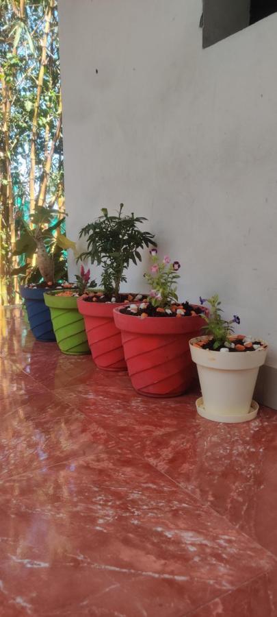 Mahabs Homestay Villa Mahábalipuram Kültér fotó